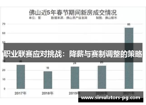 职业联赛应对挑战：降薪与赛制调整的策略